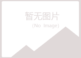 河源晓夏能源有限公司